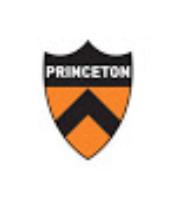 ACHA D2 - Princeton University logo