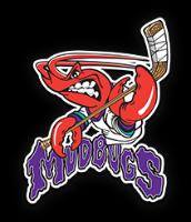 NAHL (Tier II) - Shreveport Mudbugs (Junior Hockey) logo