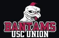 University of South Carolina - Union logo